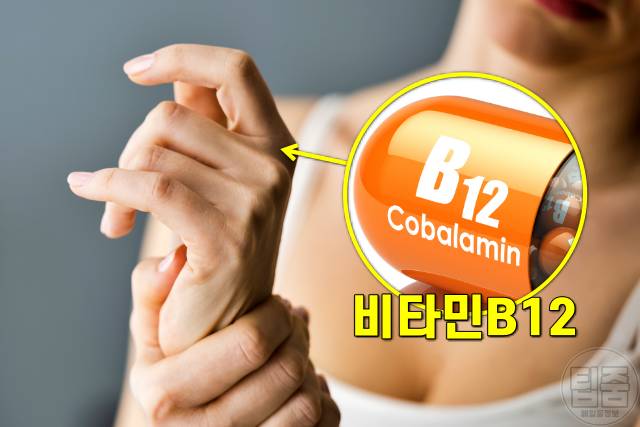 손발이 찬 이유,손발이 찬 체질,수족냉증,비타민b12 결핍
