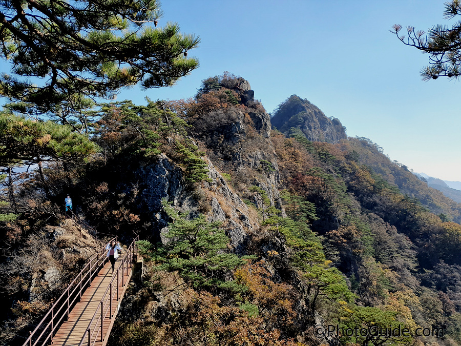 산