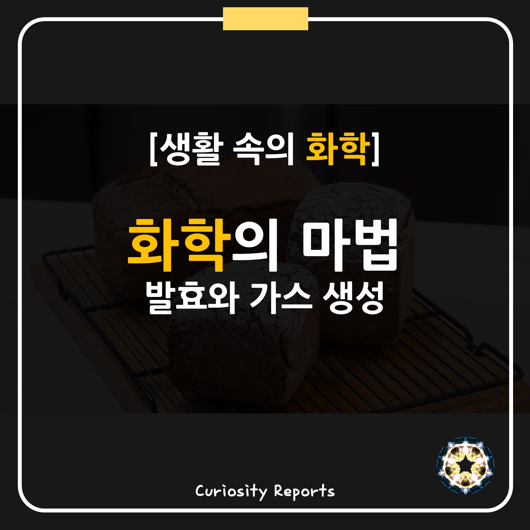 [생활 속의 화학] 화학의 마법 - 발효와 가스 생성