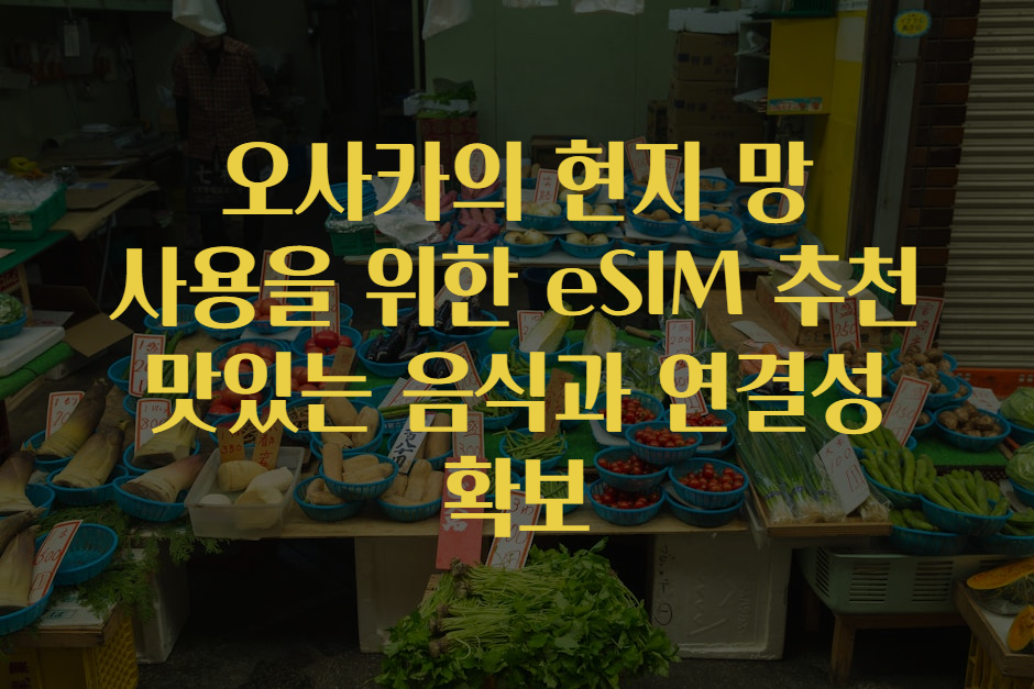 최신 정보 오사카의 현지 망 사용을 위한 eSIM 추천 맛있는 음식과 연결성 확보 소식 전달