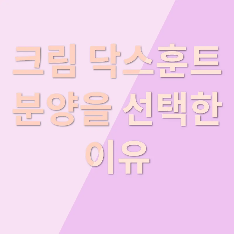크림 닥스훈트 분양_1
