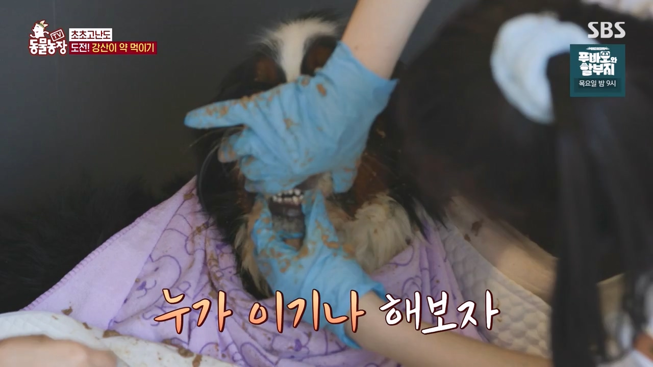 TV 동물농장.E1147.231127p-NEXT.mp4_20231126_170357.060.jpg