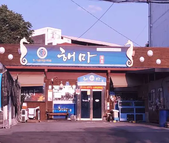 해마