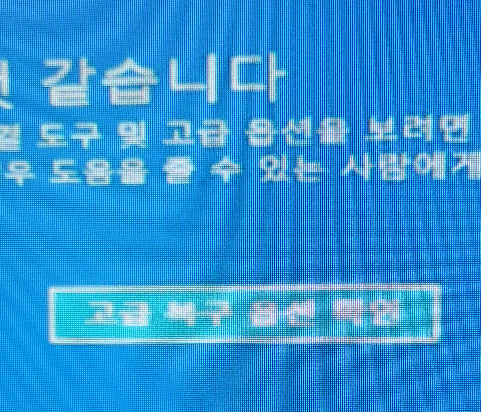 블루스크린 화면