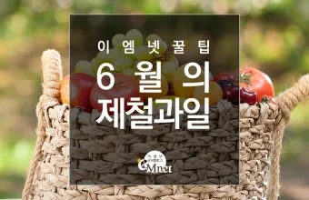 6월 제철 과일 추천 여름 과일 종류_5
