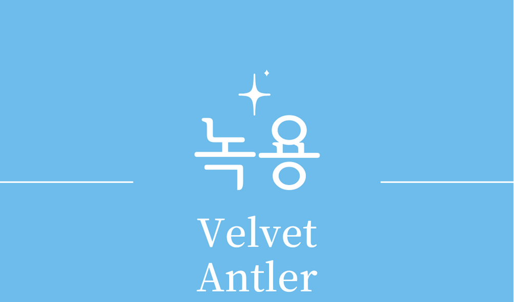 &#39;녹용(Velvet Antler)&#39;