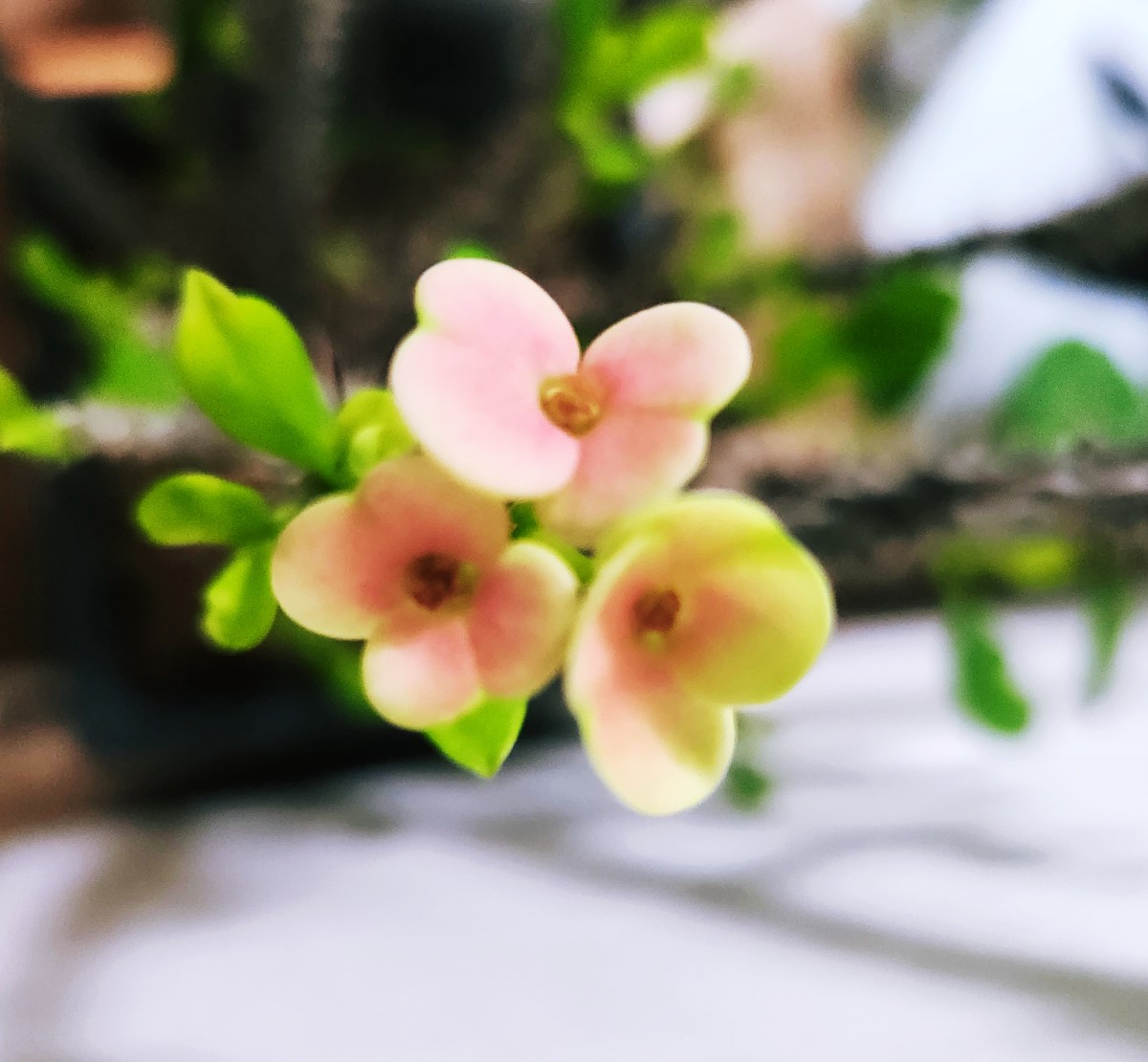  꿈의 무게니까요