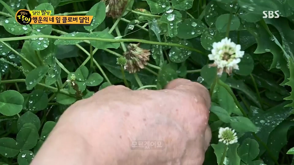 생활의 달인.E894.230626p.H264-F1RST.mp4_20230627_203849.906.jpg