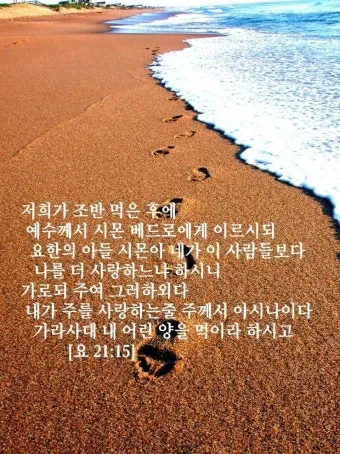 요한복음 21장 실패한 자 기도문 성경_16