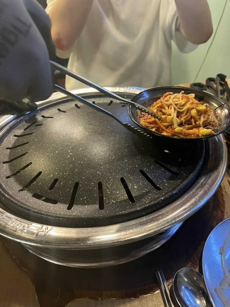 나노갈매기 이미지