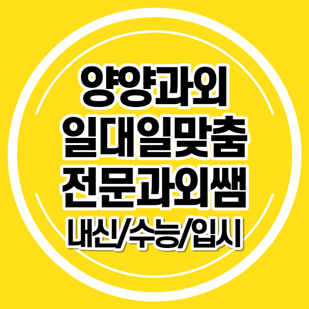  양양 일대일과외 영어 초등학생 수학과외 중등 국어 논술 고등학생 내신 수능 입시 검정고시과외