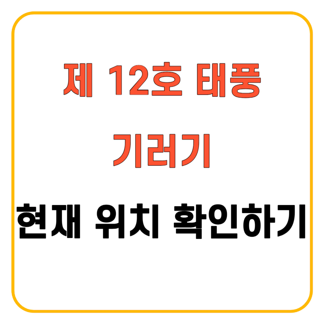 기러기 현재경로