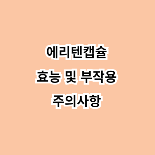 에리텐캡슐 효능-부작용