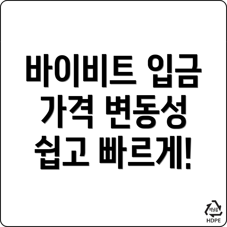 바이비트