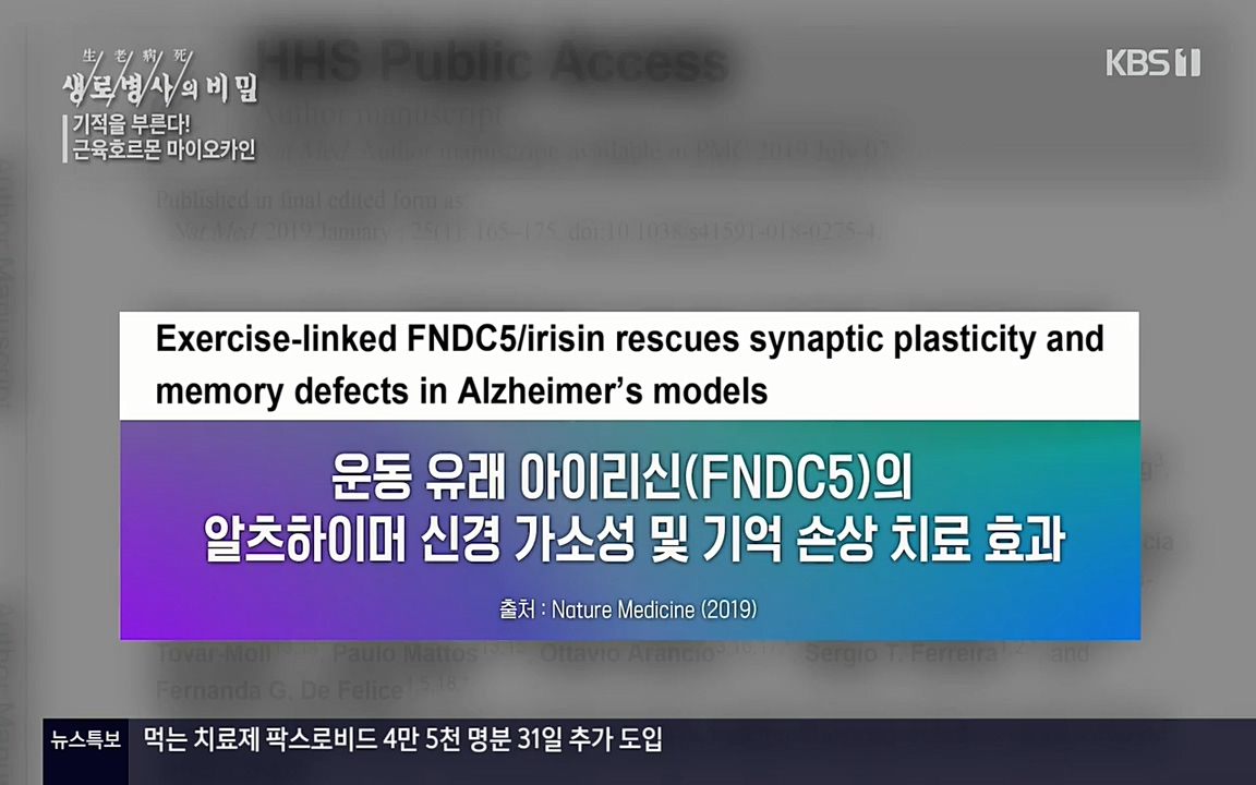 생로병사의 비밀.E816.220331p-NEXT.mp4_20220331_185212.513.jpg