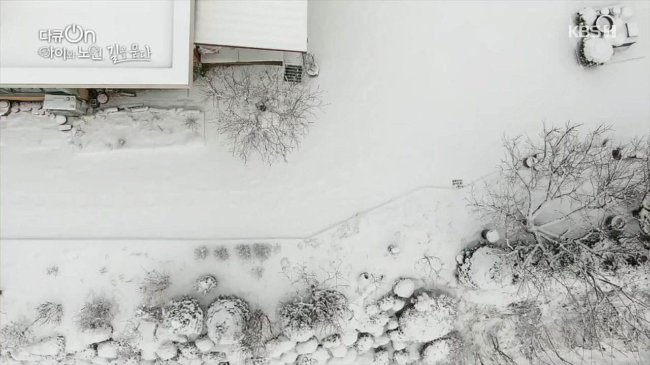 다큐 On.E179.221231p.H264-F1RST.mp4_20230109_210015.385.jpg