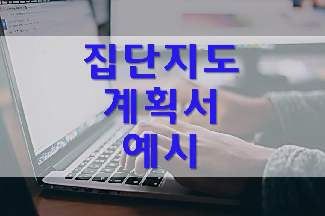  집단지도 계획서 소집단용 예시/장애인 복지관
