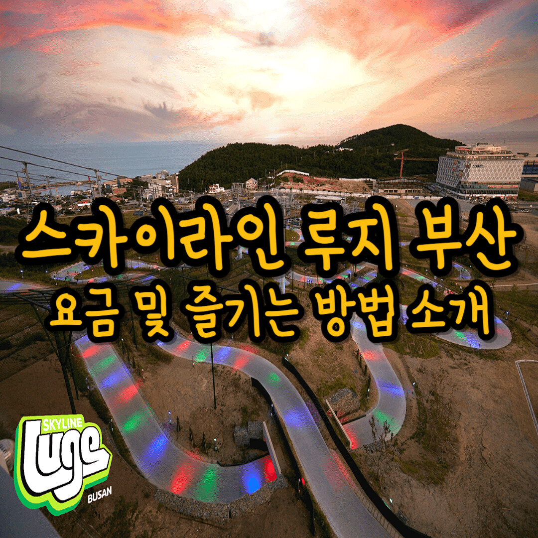 스카이라인-루지-부산의-모습