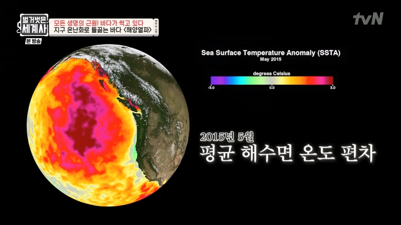 벌거벗은 세계사.E90.230315p-NEXT.mp4_20230419_212554.452.jpg