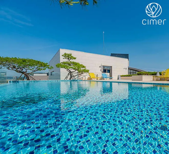 파라다이스 시티 쉬 메일