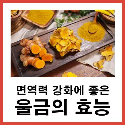 면역력-강화에-좋은-울금-효능