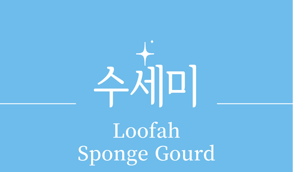 &#39;수세미(Loofah Sponge Gourd)&#39;