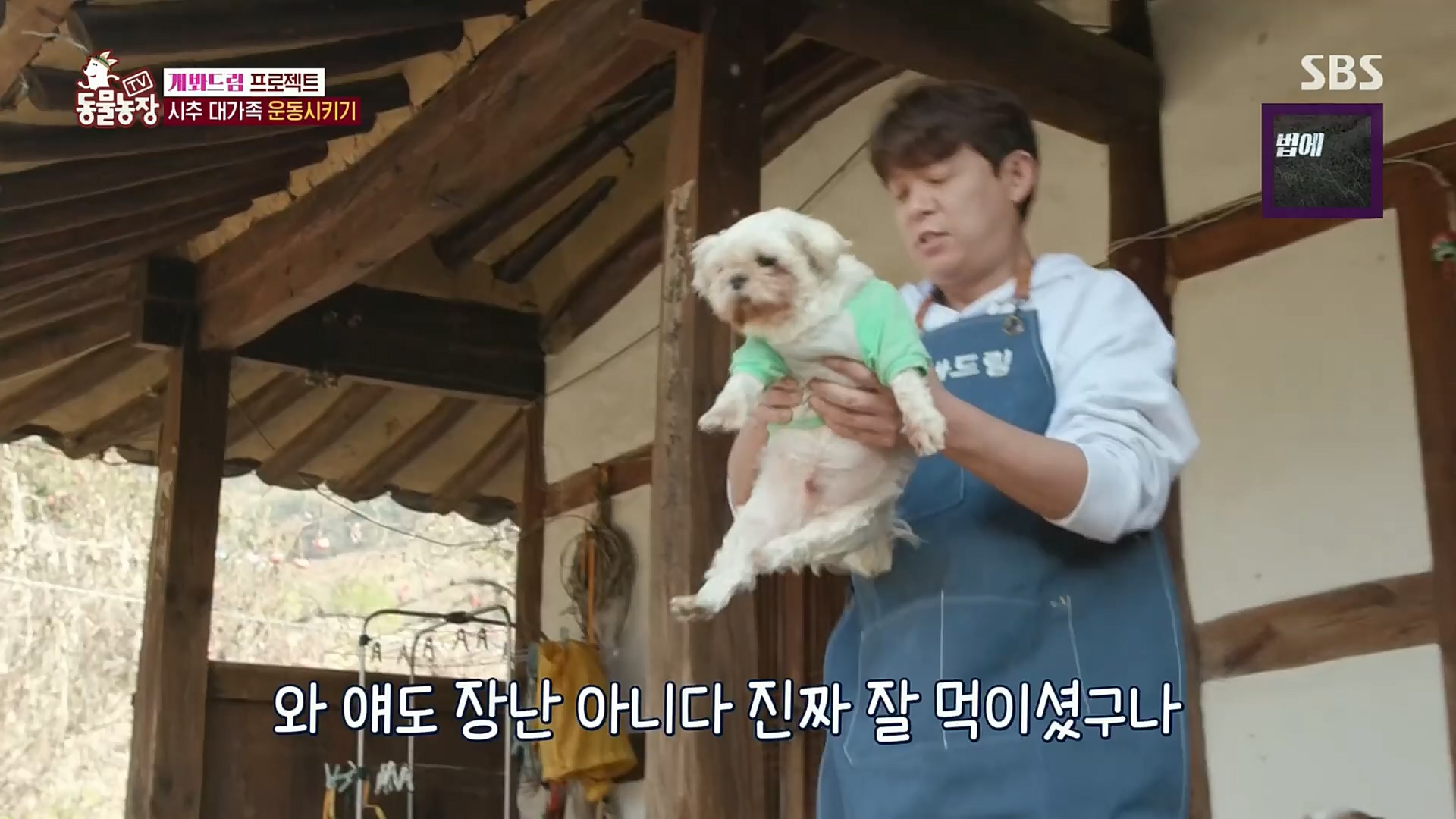 TV 동물농장.E1102.230101p.H264-F1RST.mp4_20230101_182849.603.jpg