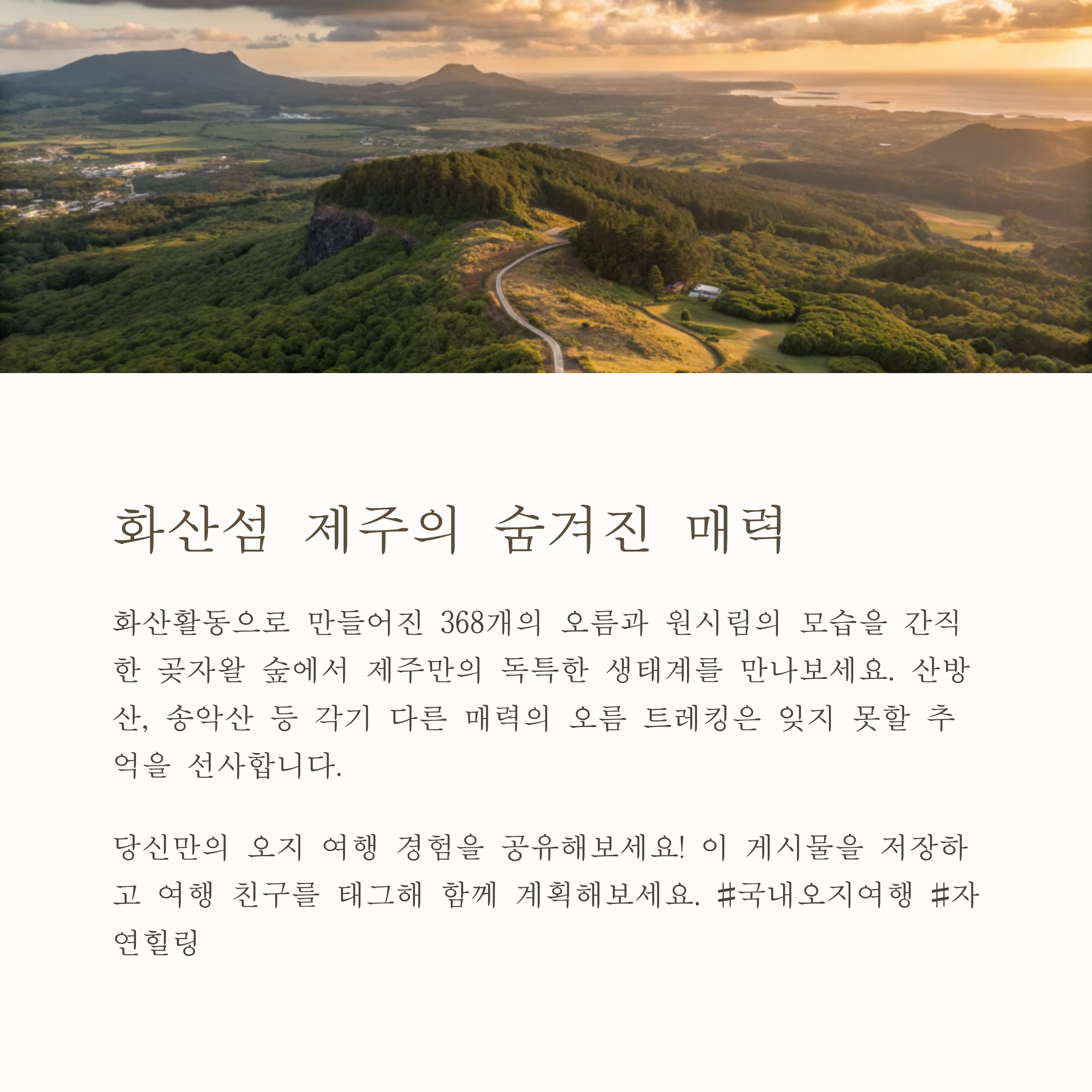 IMG_2025031605_02116.png
