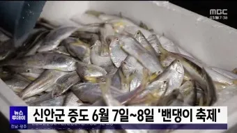 신안 섬 밴댕이 축제 오뉴월 밴댕이 맛보러 가요_6