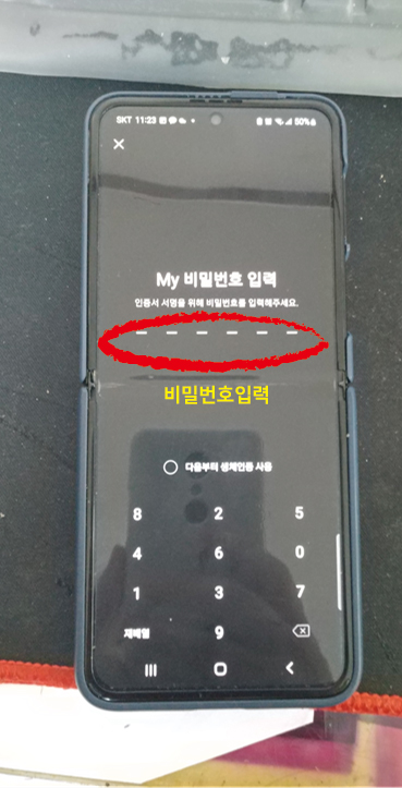 초본16