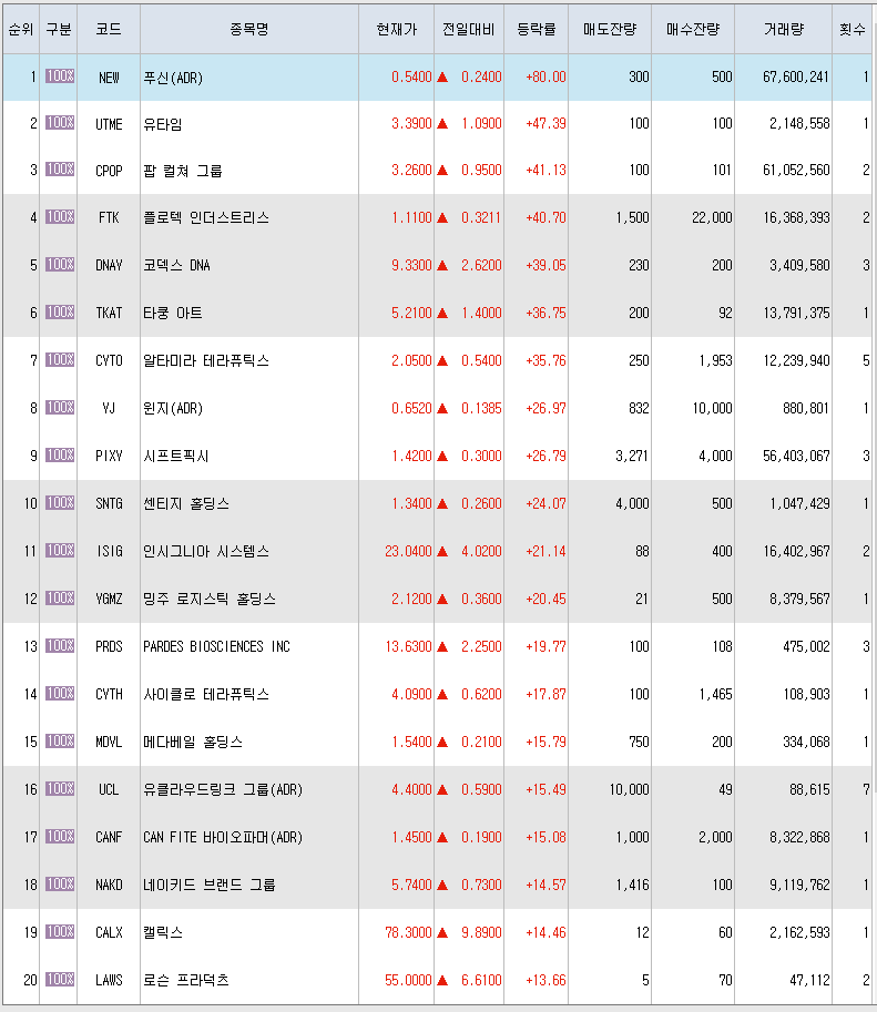  12월29일 미국주식 상승률 상위 종목 TOP 300