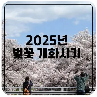 벚꽃 개화시기 2025년 지역별 모음_12