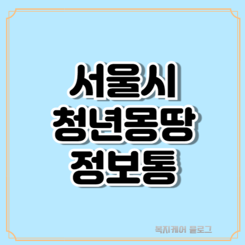 서울시 청년 몽땅 정보통 사이트 바로가기