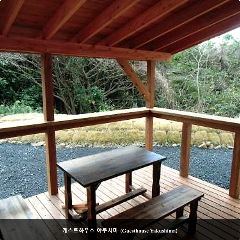 게스트하우스 야쿠시마 (Guesthouse Yakushima)_5