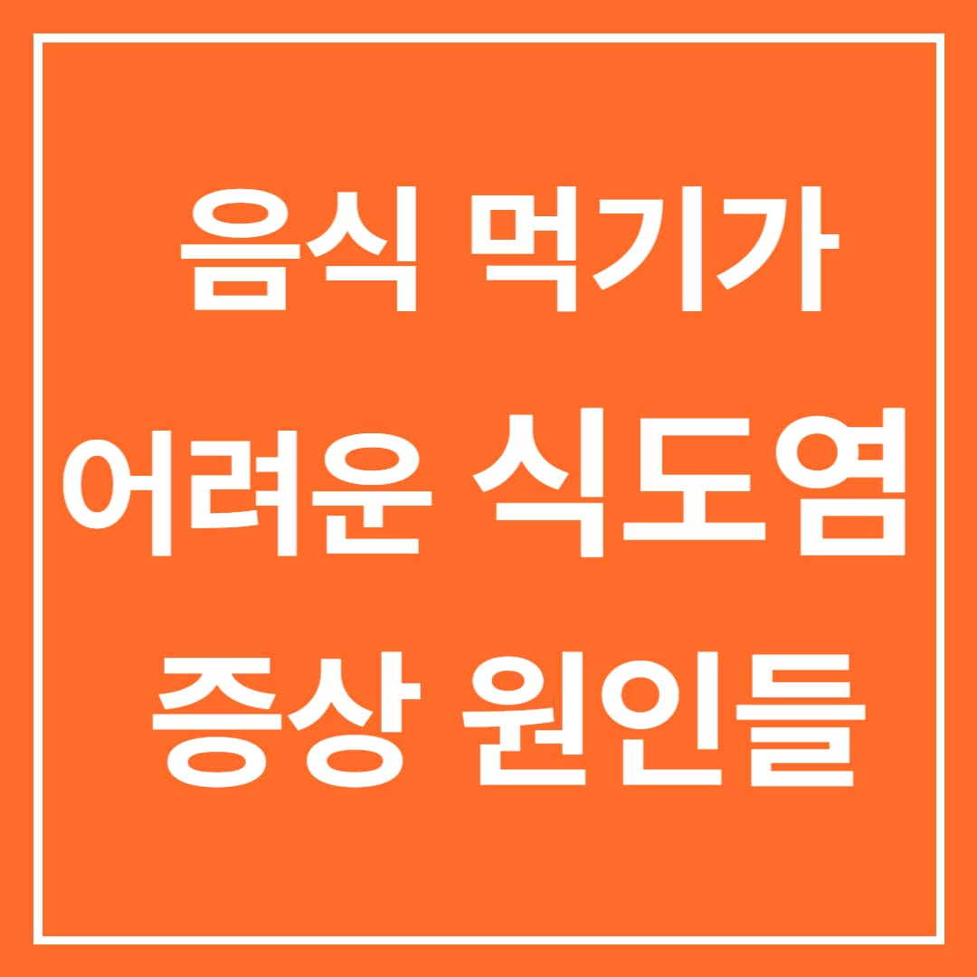  산성음식과 독한 술 식도염 증상 원인들