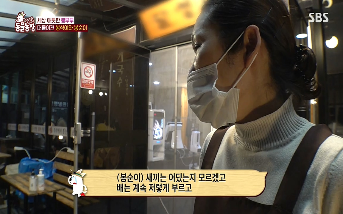 TV 동물농장.E1070.220523p-NEXT.mp4_20220522_182033.650.jpg