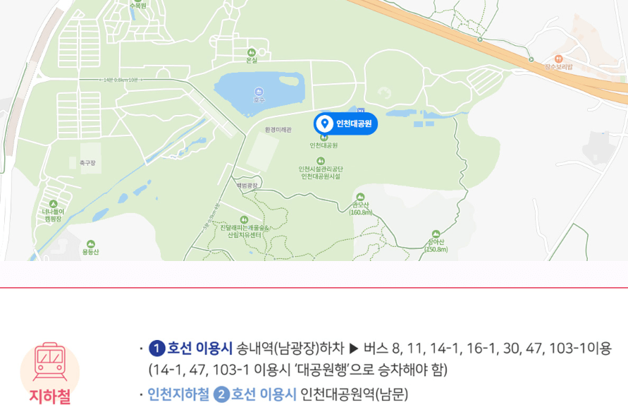 인천대공원 벚꽃축제