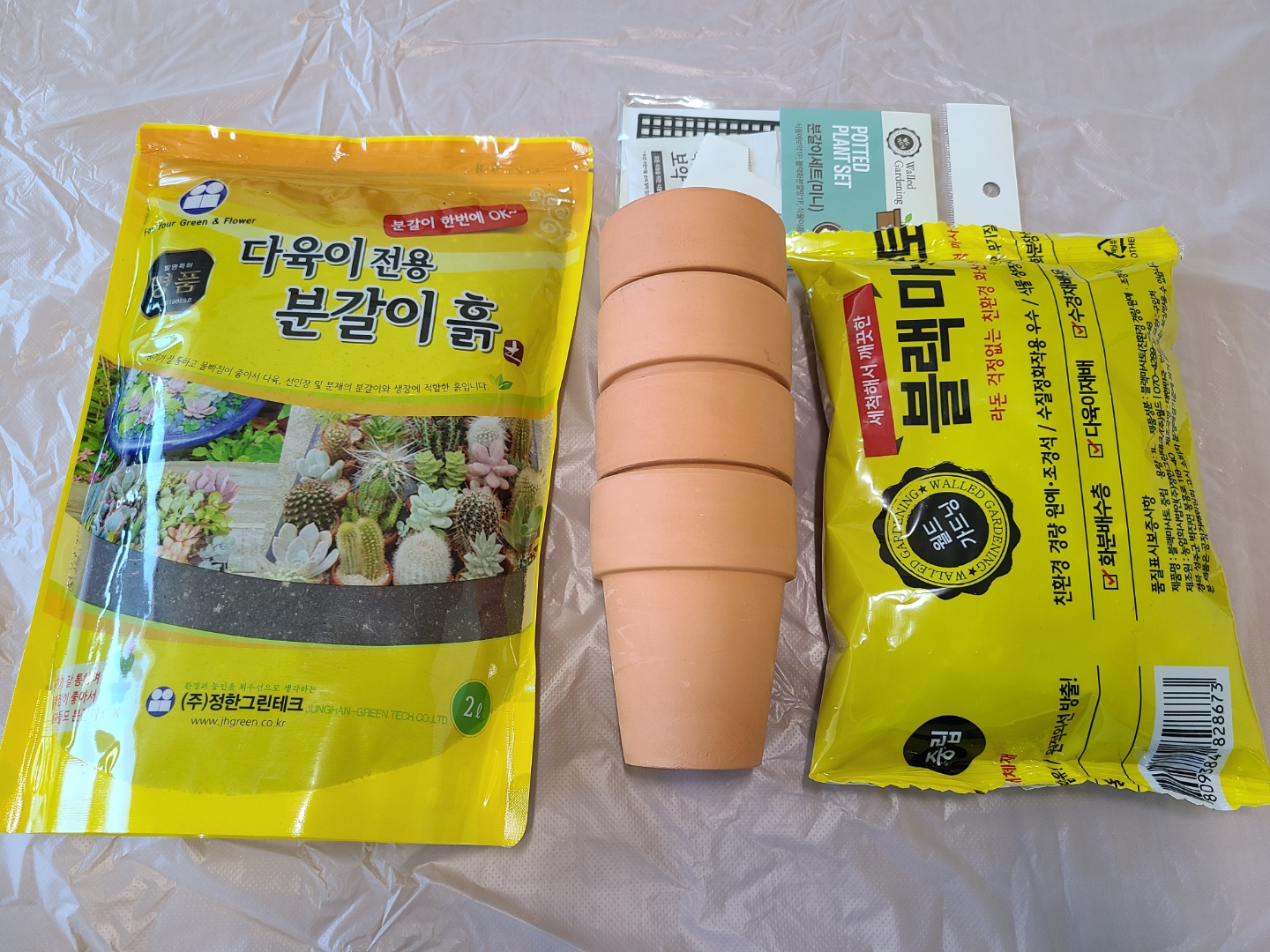  다육이 분갈이(방울복랑금)를 해보았습니다!!