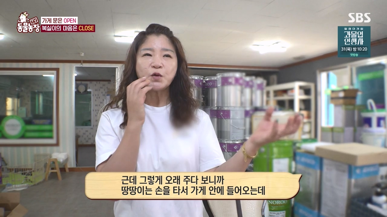 TV 동물농장.E1135.230828p-NEXT.mp4_20230827_180829.036.jpg