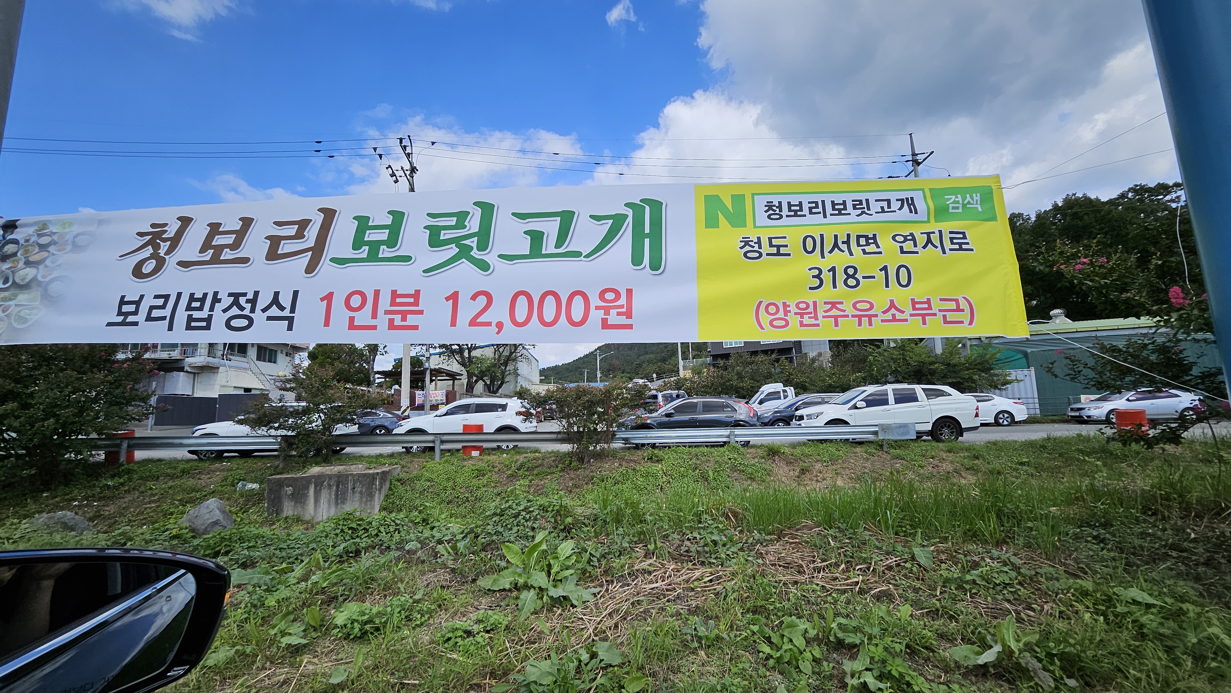 청보리보릿고개 이미지