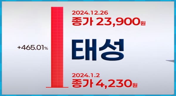 태성 2024년 주가 상승률