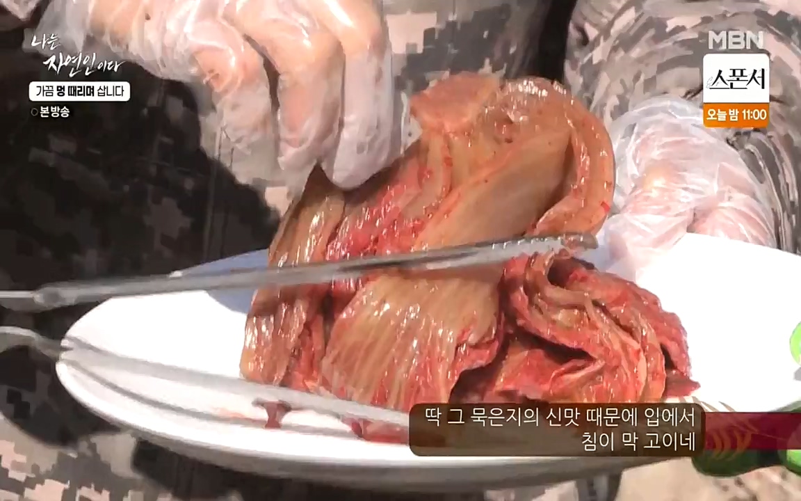 나는 자연인이다.E493.220317p-NEXT.mp4_20220317_172820.783.jpg