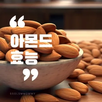 아몬드 효능 하루 섭취량 칼로리_2