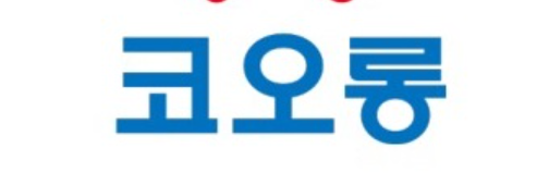  코오롱우 주가  강세