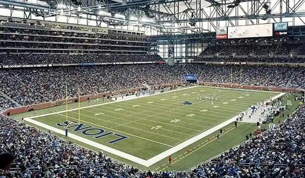 Detroit Lions <a href=