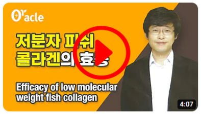 저분자 피쉬 콜라겐의 효능