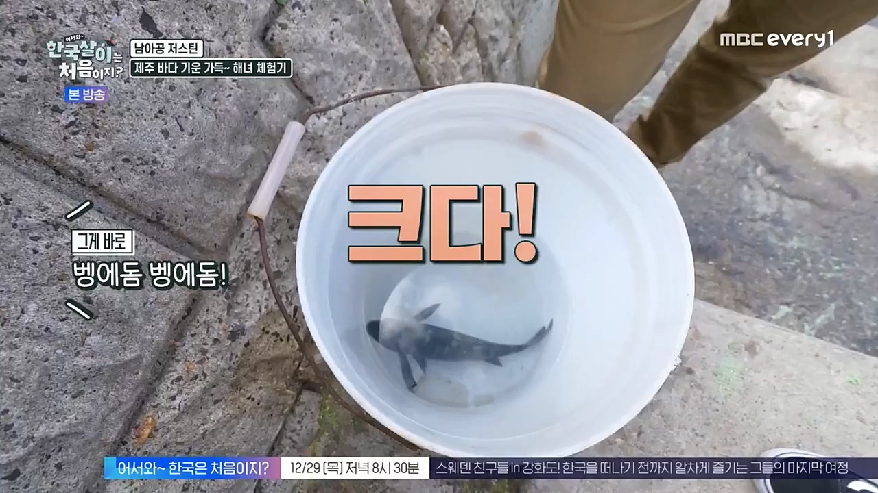 어서와 한국살이는 처음이지.E02.221228p-NEXT.mp4_20221228_203444.030.jpg