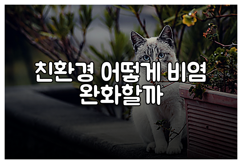 친환경 어떻게 비염 완화할까