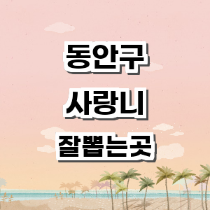 안양 동안구 사랑니