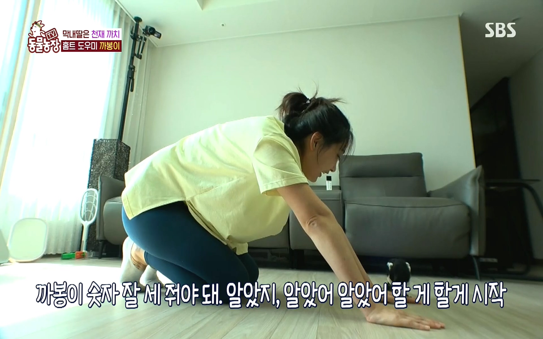 TV 동물농장.E1089.221002p.H264-F1RST.mp4_20221002_181925.671.jpg